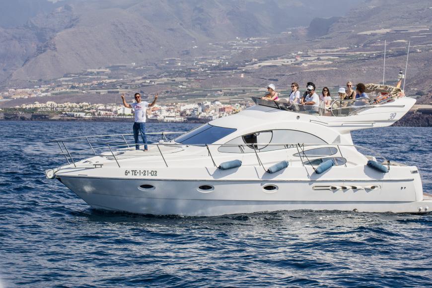 Boots-Ausflug zu Los Gigantes