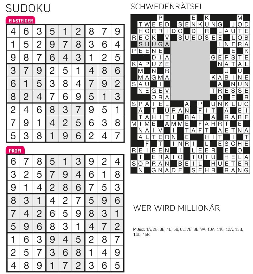 Sudoku- und Rätselauflösung - Bild 41