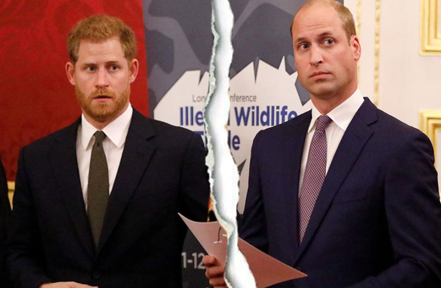 Prinz William stellt sich schützend vor seine Frau Kate, die von Anfang an was gegen ihre neue Schwägerin hatte. Die einst so enge Bindung zu seinem Bruder ist angeknackst.