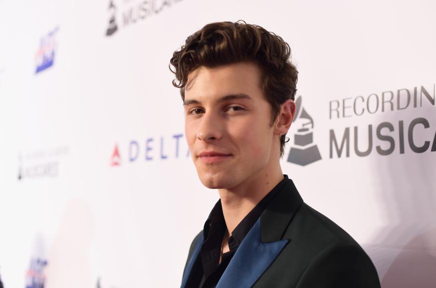 Eins muss man Shawn Mendes aber lassen: Seine Haut sieht ziemlich rein aus.