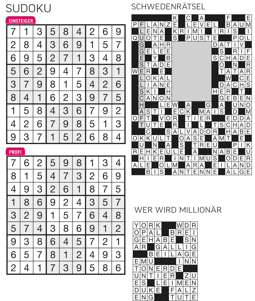 Sudoku- und Rätselauflösung - Bild 40