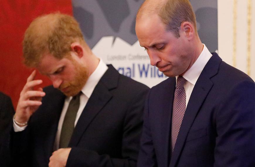 Legen Prinz Harry und Prinz William bald ihren Streit bei?