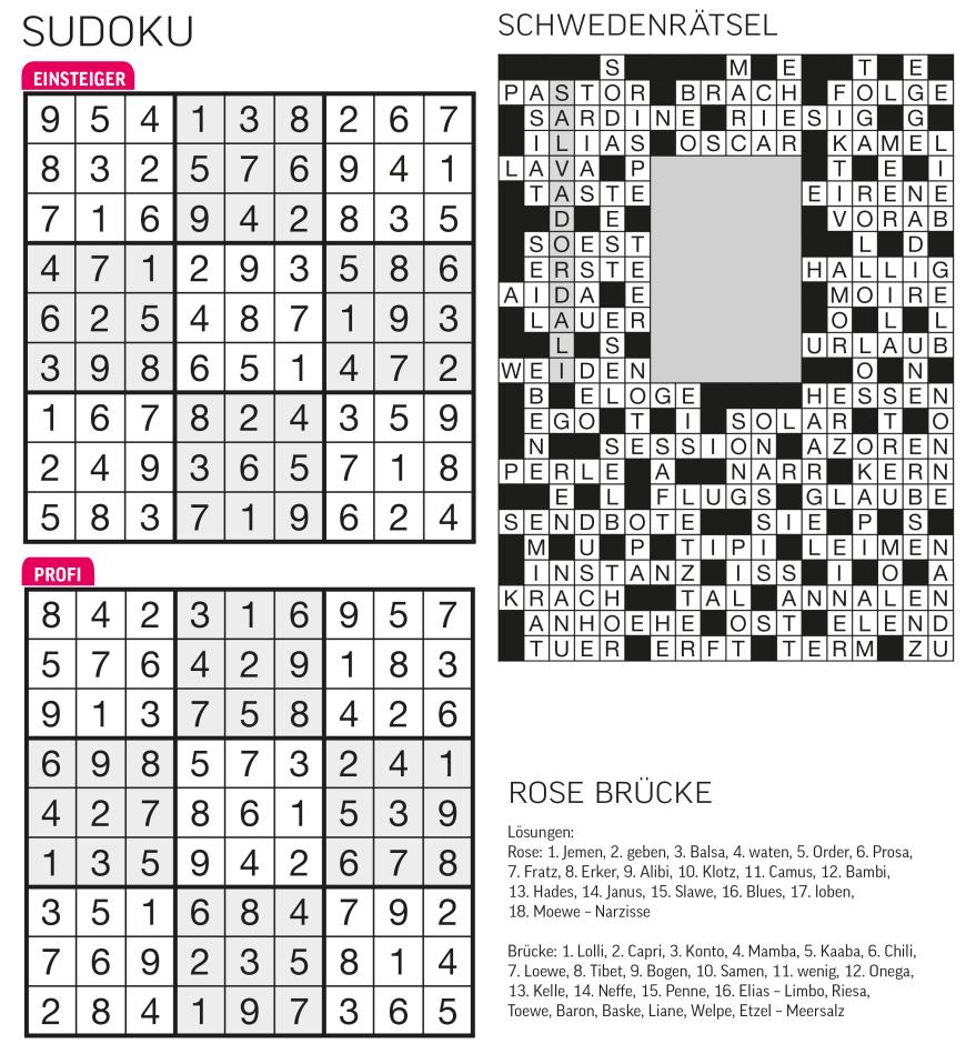 Sudoku- und Rätselauflösung - Bild 39