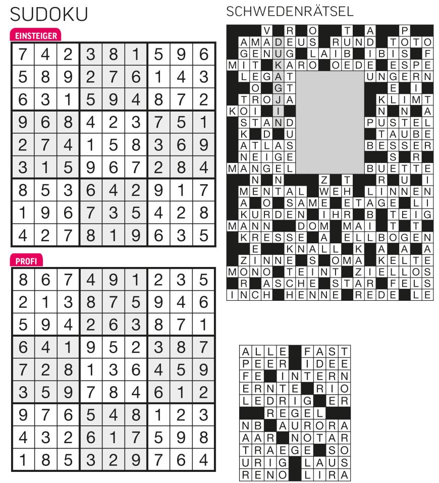 Sudoku- und Rätselauflösung - Bild 38
