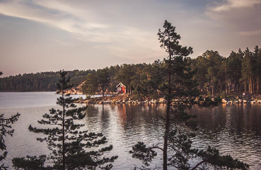 Natur pur gibt es in Form von holzigen Düften, die dich garantiert an eine Auszeit in der schwedischen Wildnis erinnern werden.