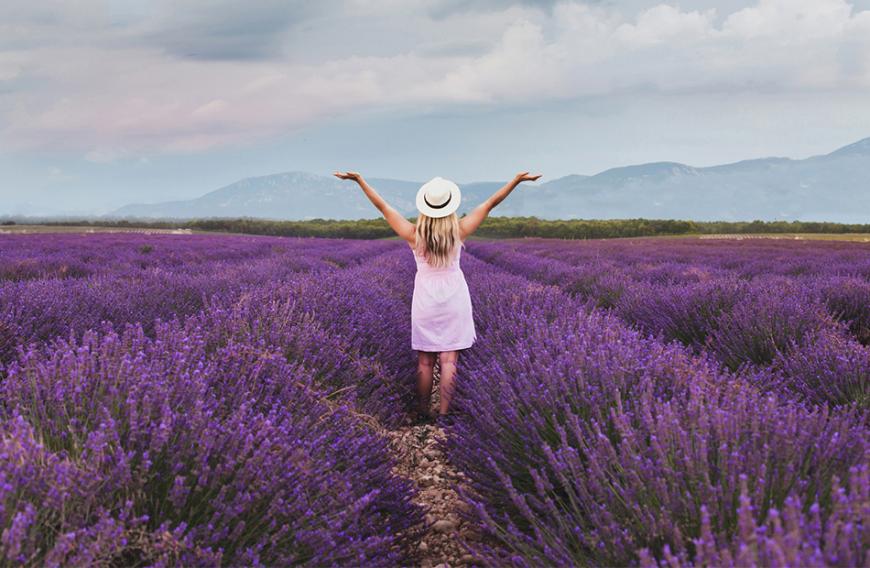 Du träumst nahezu träglich von deinem Urlaub in der französischen Provence? Passend dazu gibt es tolle Düfte, mit denen du in Erinnerungen schwelgen kannst.