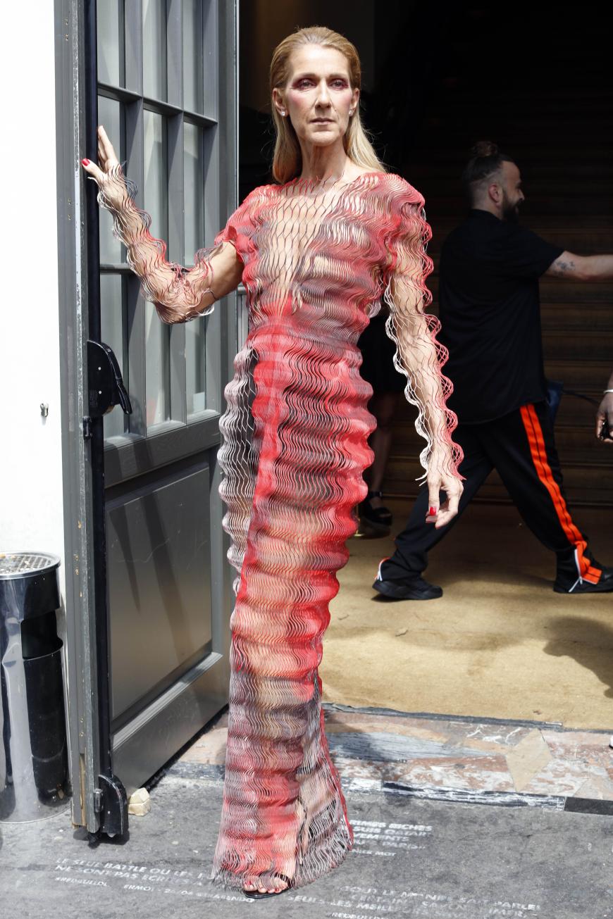 Ach, Céline, was hast du dir denn bei diesem Fummel wieder gedacht? Das ungewöhnlich geformte Kleid zieht auf jeden Fall alle Blicke auf sich. Ein bisschen freundlicher könnte die Sängerin auch gucken ...