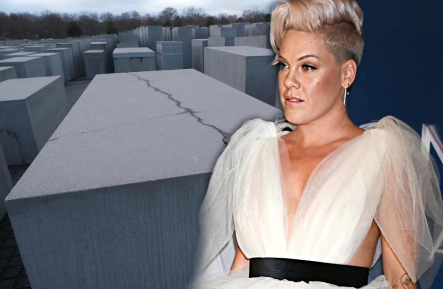 Ob sie es will oder nicht: Sängerin P!nk scheint im Internet immer wieder in scharfe Kritik zu geraten. Dieses Mal verscherzte es sich der Popstar auf deutschem Boden.