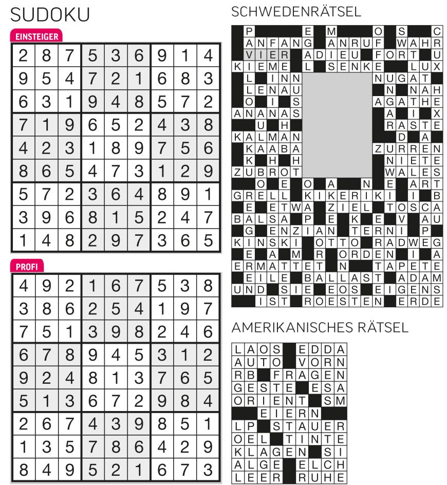 Sudoku- und Rätselauflösung - Bild 24