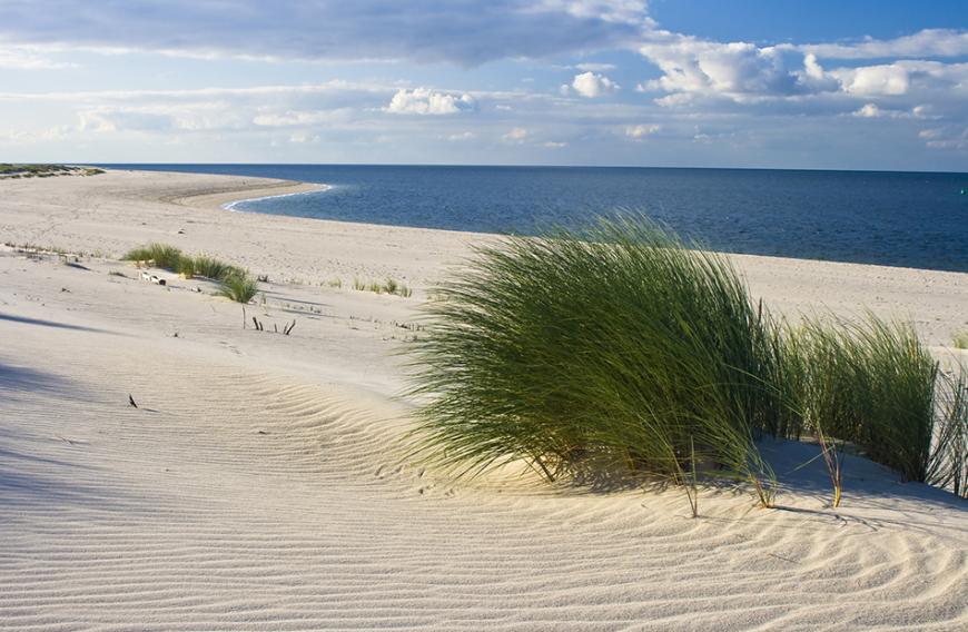 Einige Labels setzen aus den Schlick aus der Nordsee, andere schwören auf Bio-Botox. Das Ziel ist bei allen gleich: eine schöne jugendliche Haut!