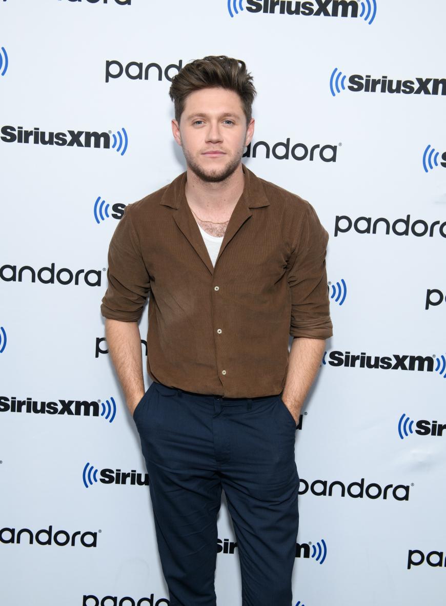 One Direction-Hottie Niall Horan soll es der Sängerin mächtig angetan haben. Die beiden sind seit Jahren befreundet und dateten sich bereits vor vier Jahren für eine kurze Zeit.