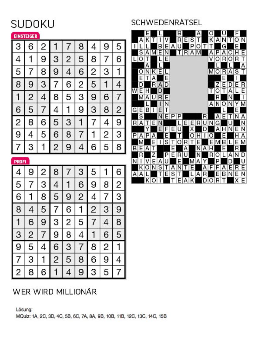 Sudoku- und Rätselauflösung - Bild 7