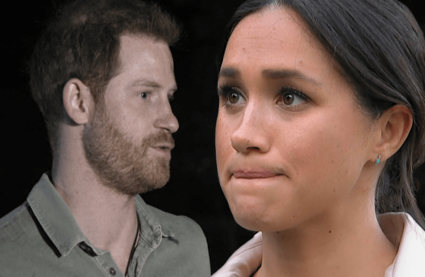 Ende Oktober ging ein verzweifelter Hilferuf um die Welt, als Harry und Meghan in der TV-Doku