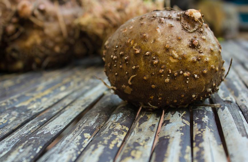 In den Pillen steckt Glucomannan-Pulver. Dabei handelt es sich um einen wasserlöslichen Ballaststoff, der aus der Konjakwurzel gewonnen wird.