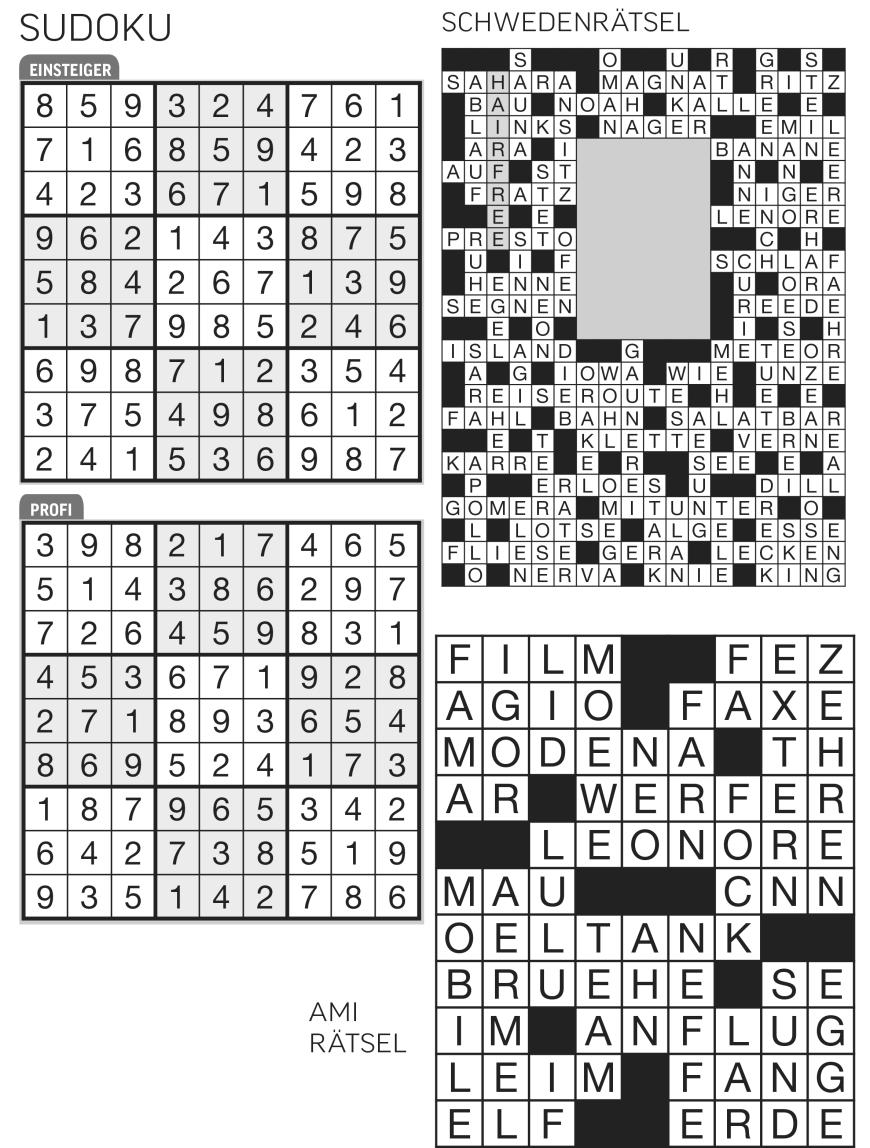 Sudoku- und Rätselauflösung - Bild 5