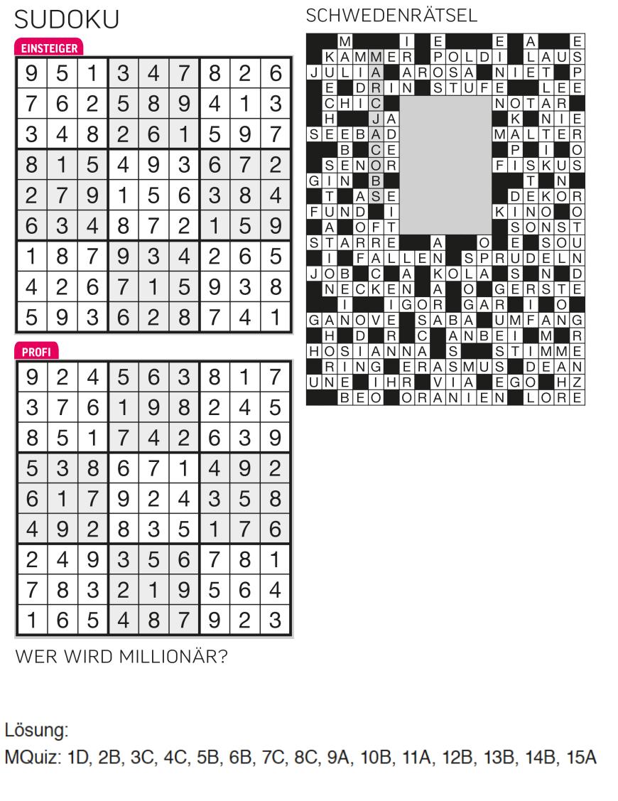 Sudoku- und Rätselauflösung - Bild 4