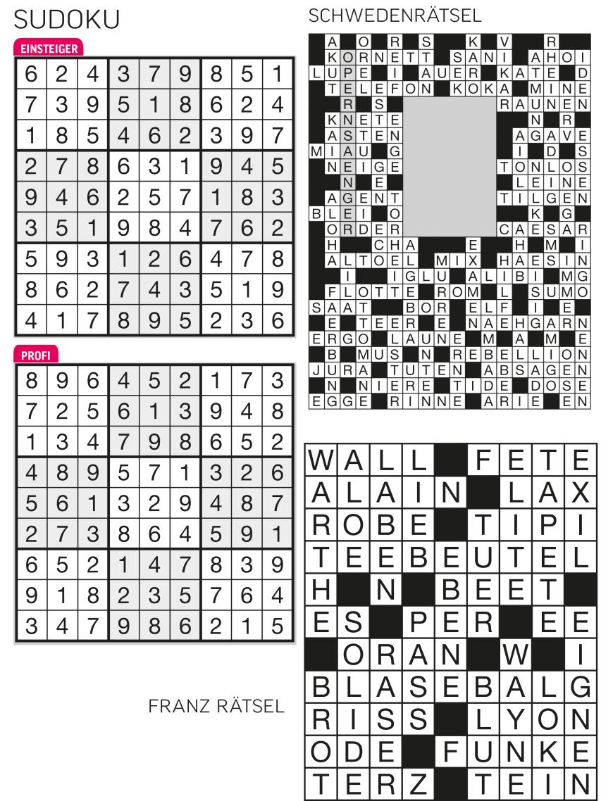 Sudoku- und Rätselauflösung - Bild 6