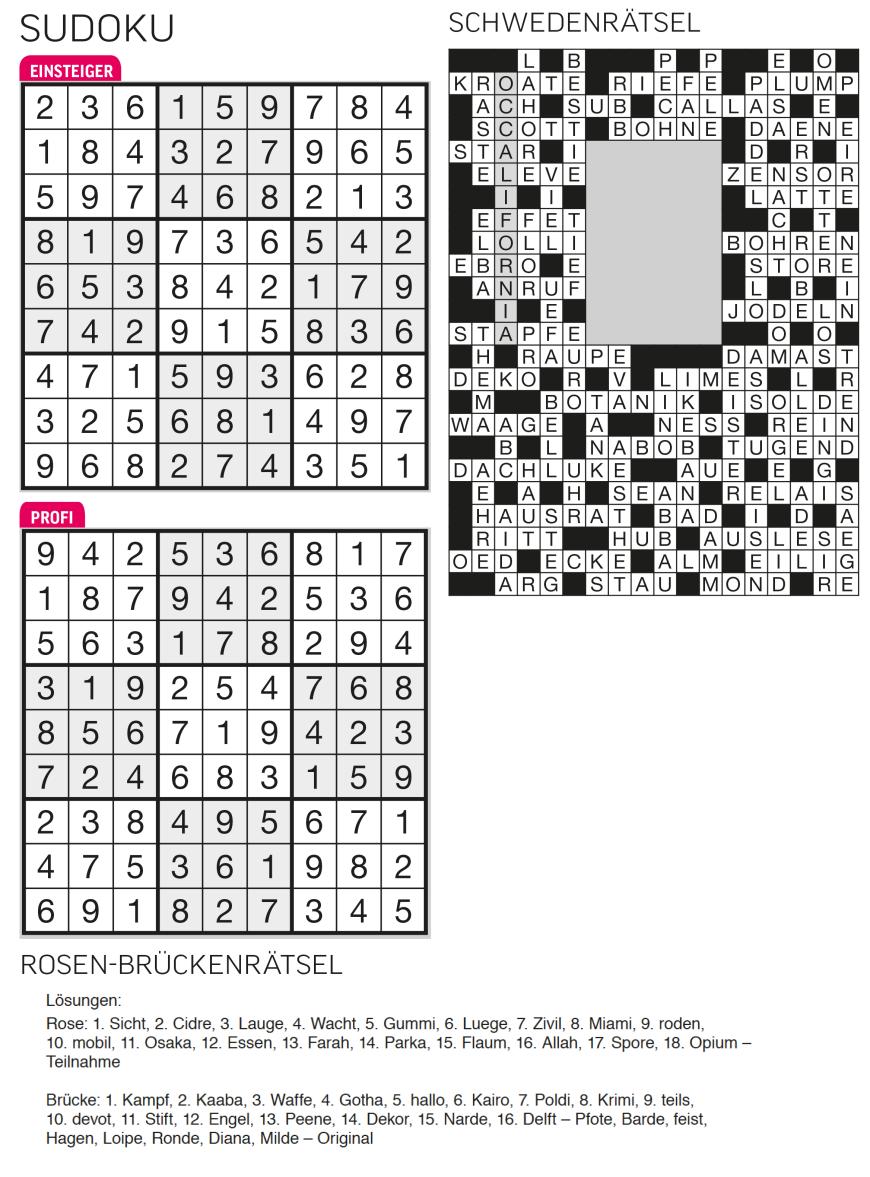 Sudoku- und Rätselauflösung - Bild 3