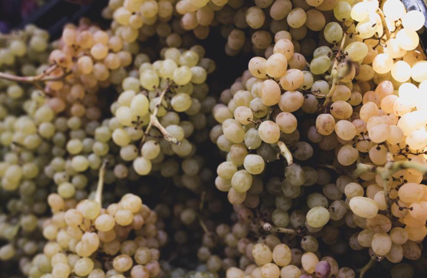 In dem Naturprodukt sind viele Vitamine, Aminosäuren und Mineralien enthalten, die gut für deinen Teint und für deine Mähne sind.