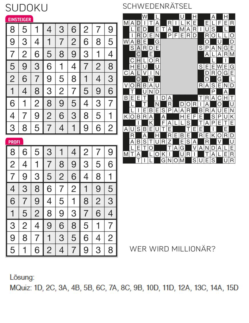 Sudoku- und Rätselauflösung - Bild 6