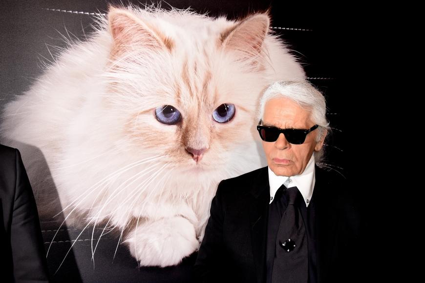 Karl Lagerfeld liebte seine Rassekatze! Für Choupette war das Beste gerade gut genug.