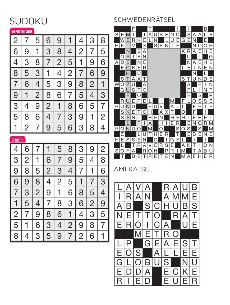 Sudoku- und Rätselauflösung - Bild 3