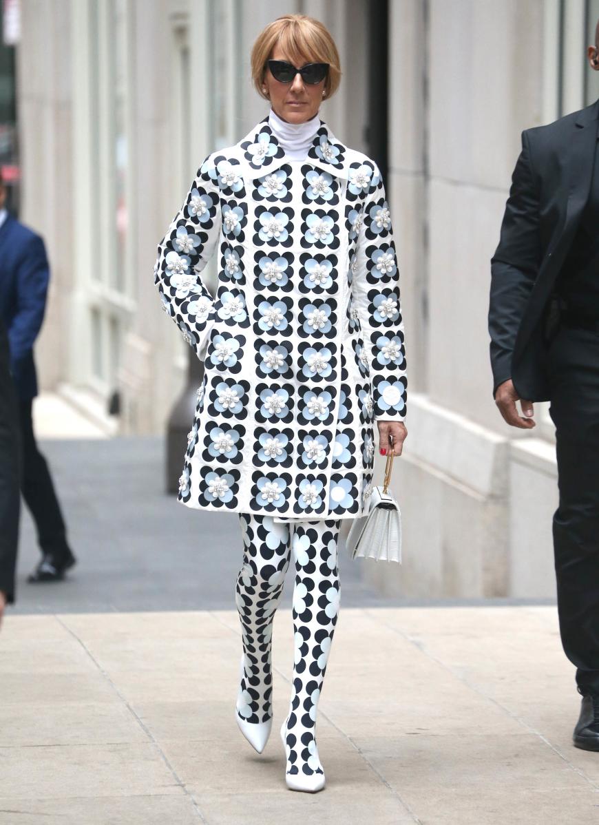 Lang, lang ist's her, doch der neueste Look von Céline Dion steht ihren Styling-Sünden der letzten Jahre in nichts nach ...