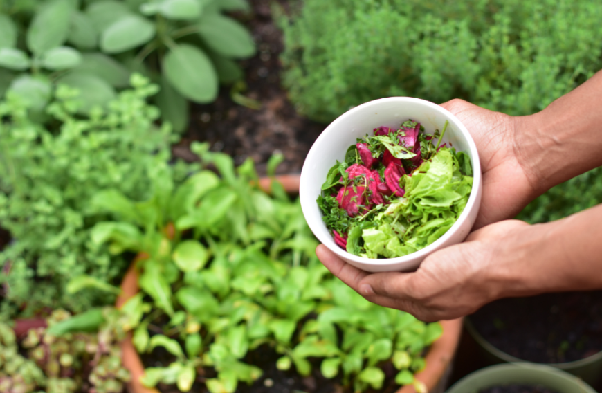 Ein eigener Gemüsegarten, Obstbäumen und Hühner – laut Experten wird sich der Trend Selbstversorgung Trend 2020 verstärken.