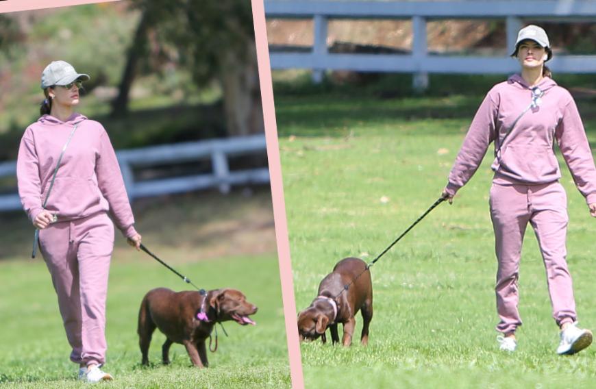 Nicht ohne meinen Hund! Topmodel Alessandra Ambrosio liegt ihr tierischer Freund sehr am Herzen. Der Ex-