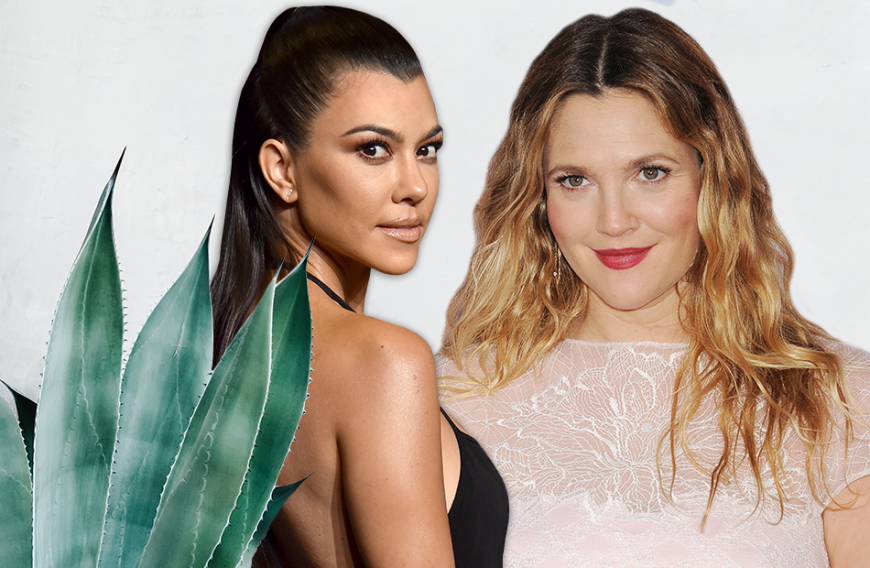 Stars wie Kourtney Kardashian und Drew Barrymore setzen schon seit Jahren auf die Kraft der Aloe Vera Pflanze. Während Drew damit ihre Hautunreinheiten behandelt, bekämpft Kourtney mit dem Beauty-Wunder trockene Haut, Sonnenbrand und Irritationen.