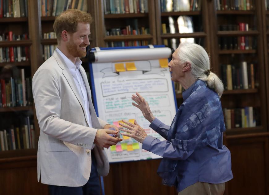 Dr. Jane Goodall kennt den Prinzen seit Ewigkeiten und spricht über sein neues Leben.