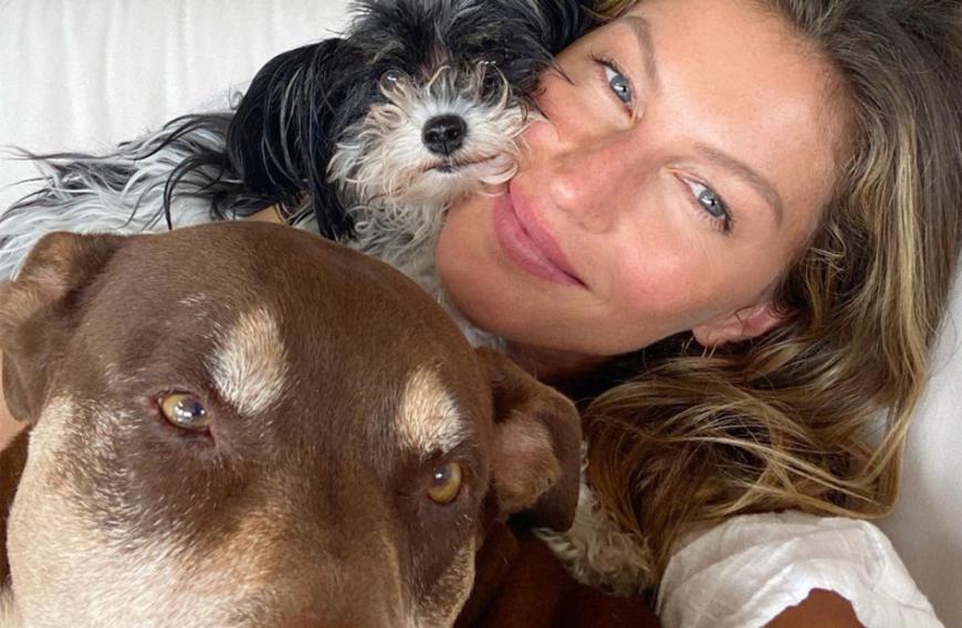 Flauschige Mitbewohner: Topmodel Gisele Bündchen machte ihren Vierbeinern via