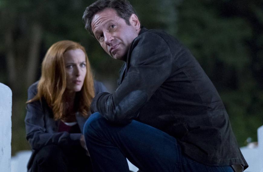 David Duchovny und Gillian Anderson ein unschlagbares Duo? Bei