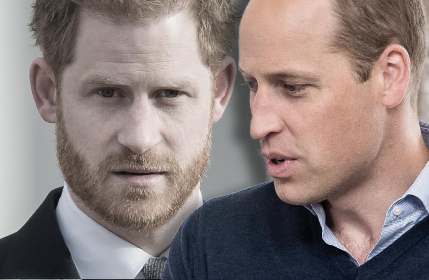 Kriegserklärung an Prinz William? Prinz Harry soll seinen Bruder öffentlich angreifen!