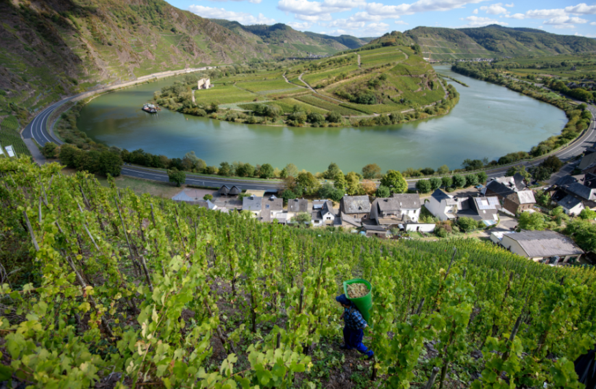 Gemütlich durch die Weinberge an der Mosel radeln – so stellen sich viele ihren perfekten Sommerurlaub vor.