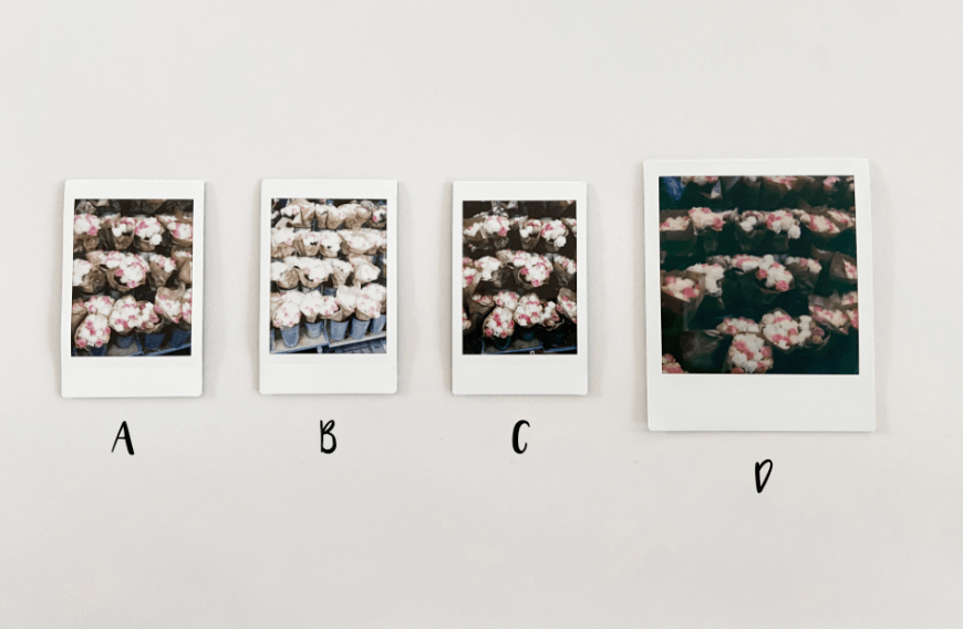Diese Fotos sind draussen bei hellem Tageslicht ohne Blitz und von etwas weiterer Entfernung entstanden.
A: Instax Mini 9
B: Instax Mini 9 - High Key Modus
C: Instax Mini 90 Neo Classic
D: OneStep+