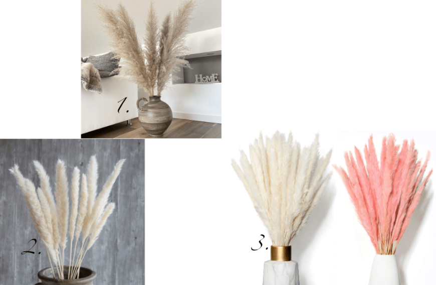Hier findest du ein paar hübsche Trockenblumen:
1. Naturalz