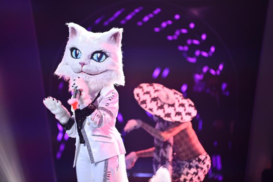 Mit ihrem Auftritt bei "The Masked Singer" hat der Star hinter der Maske der Katze Sonja Zietlow in der ersten Folge zu Tränen gerührt, doch wer steckt hinter dem Kostüm?