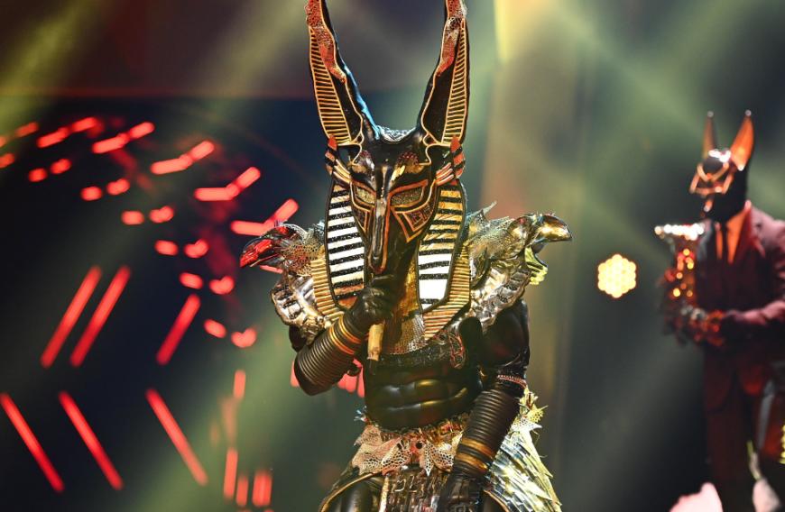 Auch Anubis hat laut Fans gute Chancen auf den Sieg.