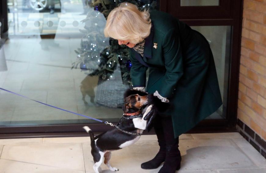 Dass sie ein großes Interesse an Hunden hat, gehört dazu. Und nun hat sie verraten...