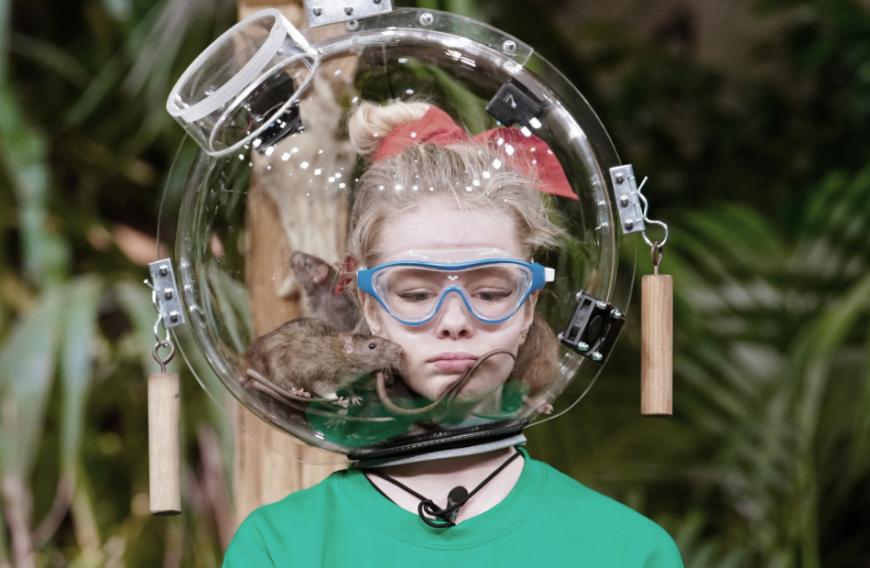 Exotische Tiere sind im Dschungelcamp sowie in der diesjährigen Dschungelshow fester Bestandteil.