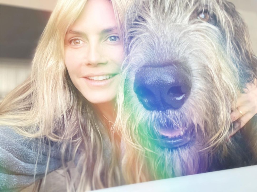 Das Supermodel und ihr Ehemann machten dem gemeinsamen Hund Anton eine süße Überraschung.