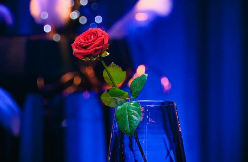 Welche Frau bekommt die letzte Rose von Niko Griesert?
