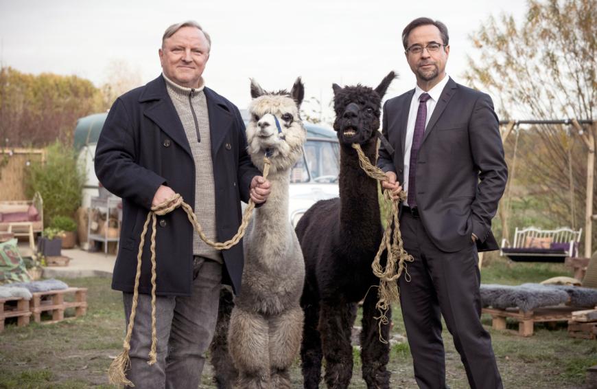 Kürzlich sollen Axel Prahl und Jan Josef Liefers ihre Veträge um sechs weitere Folgen verlängert haben. Ein Job, der sich nach Angaben der