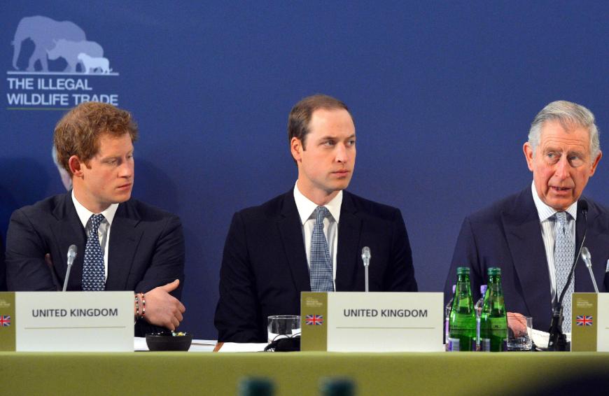 Doch nun könnte Charles eine Entscheidung treffen, die diesmal nicht seinen jüngsten Sohn, sondern William vor den Kopf stößt.