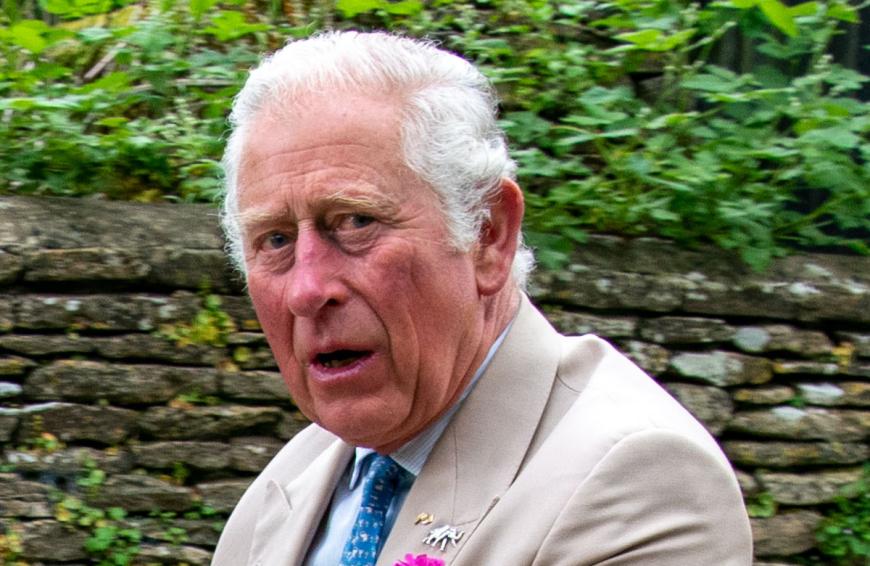 Prinz Charles muss sich wieder einmal heftige Kritik gefallen lassen.