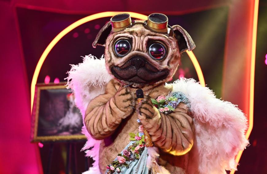 Zum Mops gab es zuletzt ein klares Live-Indiz in der Show: An seinem Autolenkrad hatte er Glasperlen hängen.