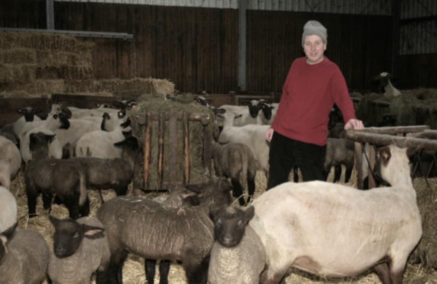 Auch auf seinem Hof herrscht Chaos: Nach Dürre-Phasen und Überschwemmungen ging auch noch der Geburtengang seiner Schafe zurück.