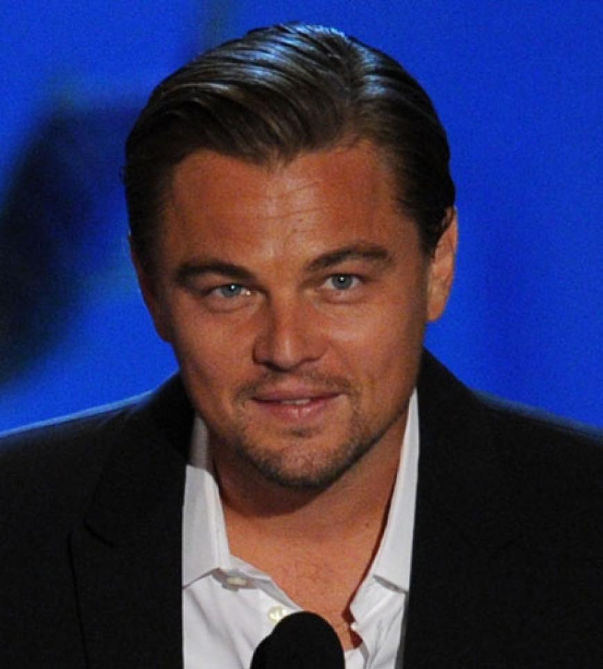 Leonardo DiCaprio war ebenfalls in Los Angeles dabei