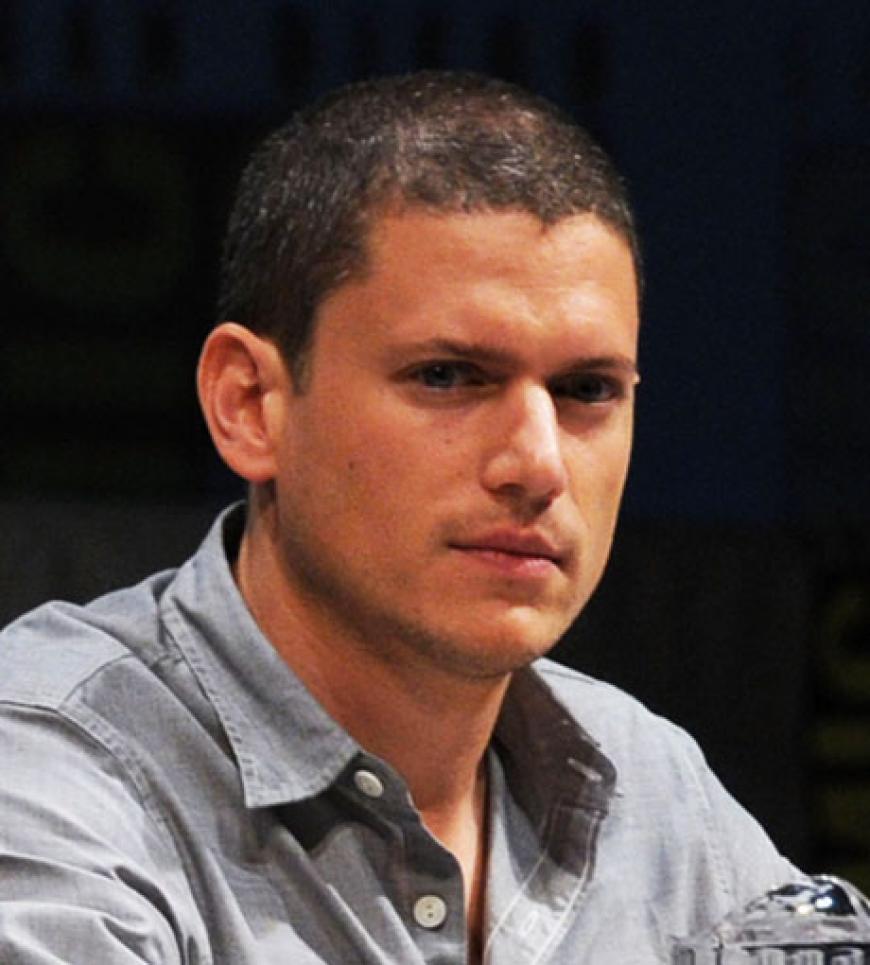 Wentworth Miller schockiert mit seinen jüngsten Aussagen: Wegen seiner Homosexualität habe er sich mehrfach versucht das Leben zu nehmen! Wentworth Miller schockiert mit seinen jüngsten Aussagen: Wegen seiner Homosexualität habe er sich mehrfach versucht das Leben zu nehmen!